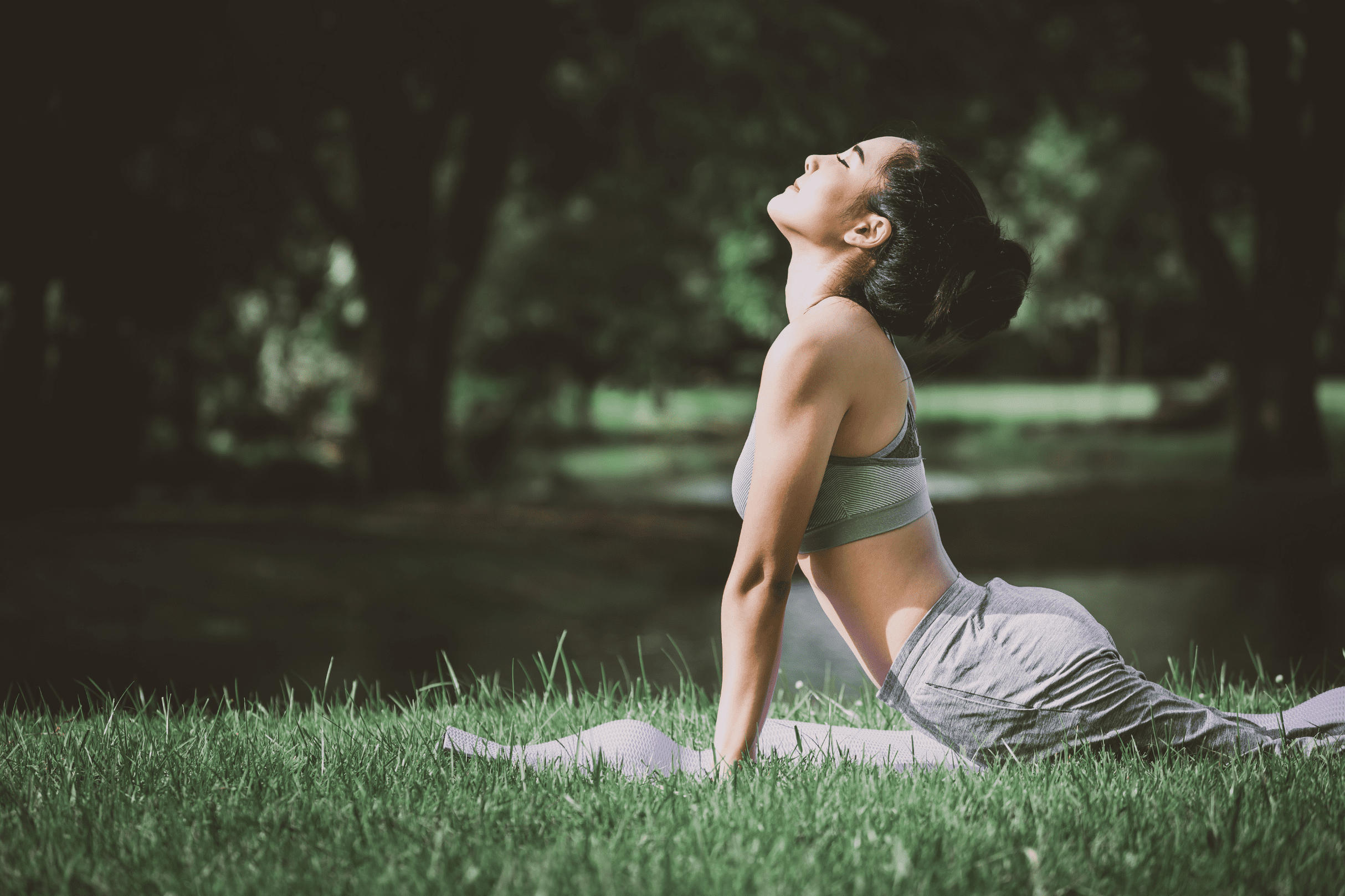 Personne consultant les tarifs de cours de yoga sur un ordinateur.